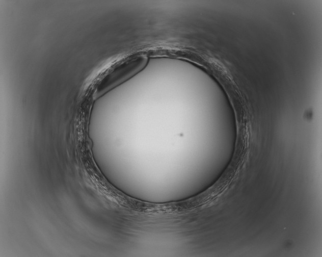 X0000116161159200912141214