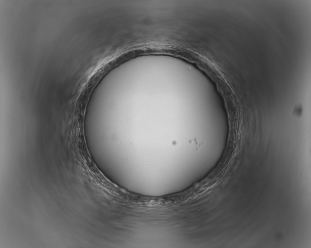 X0000116161160200912141214