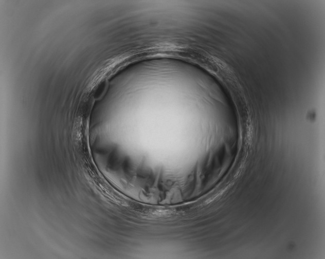 X0000116161161200912141214