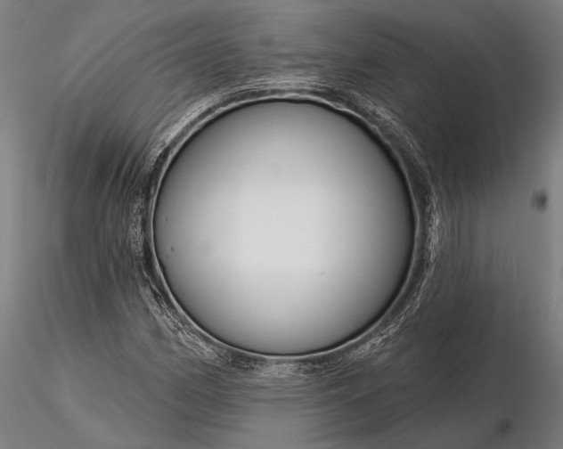 X0000116161162200912141214
