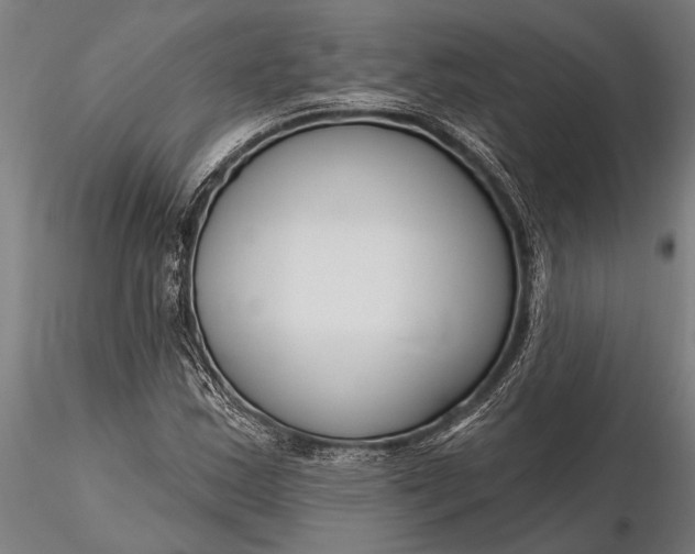 X0000116161163200912141214
