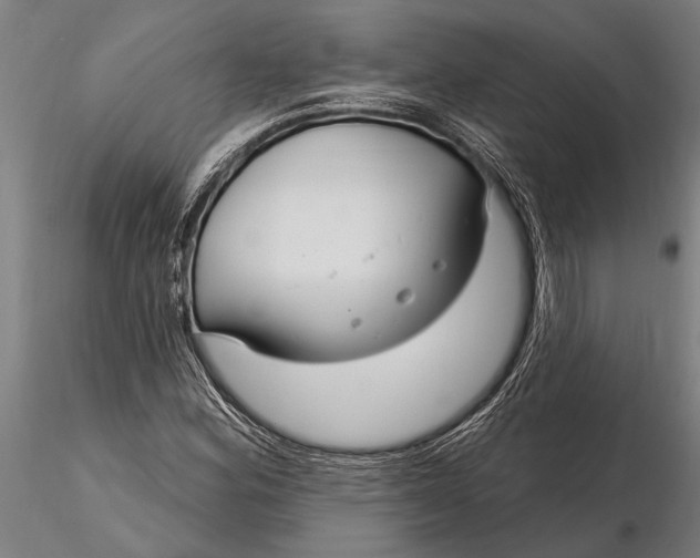 X0000116161164200912141214