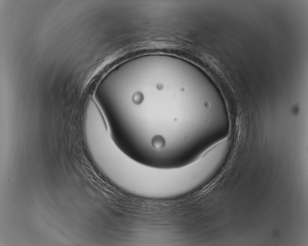 X0000116161165200912141214