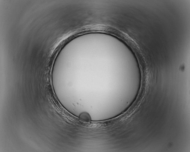 X0000116161166200912141214