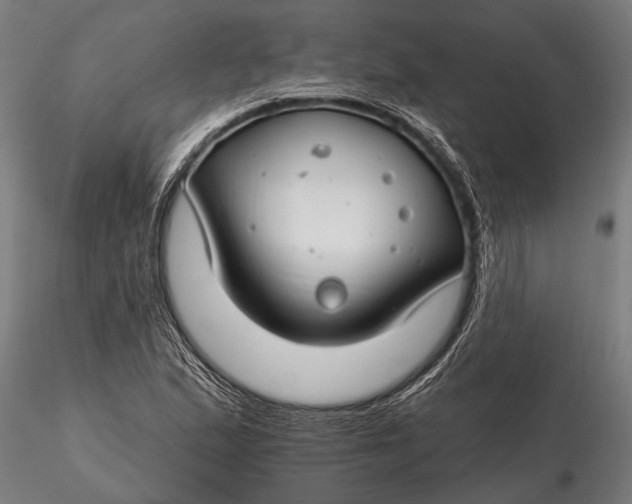 X0000116161167200912141214
