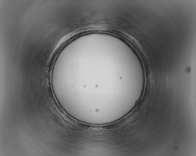 X0000116161168200912141214