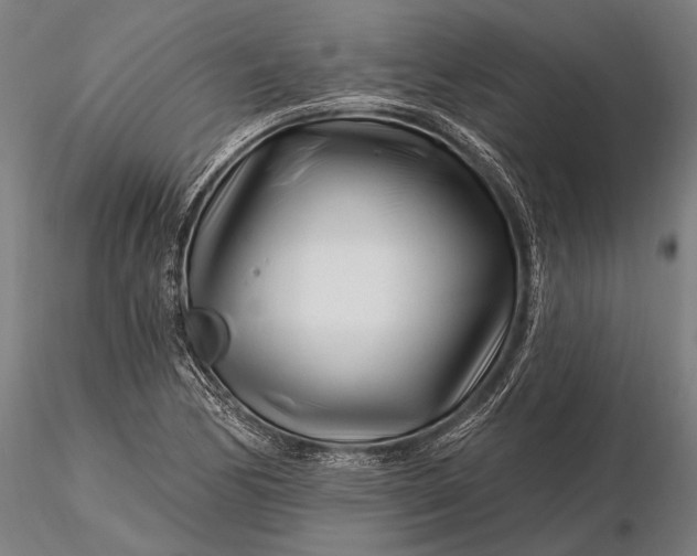 X0000116161170200912141214
