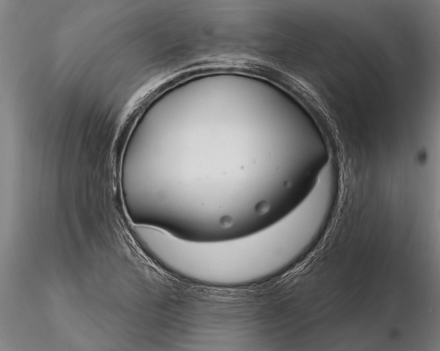 X0000116161172200912141214