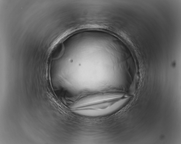 X0000116161173200912141214