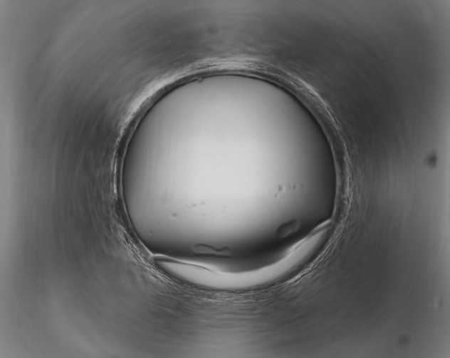 X0000116161174200912141214