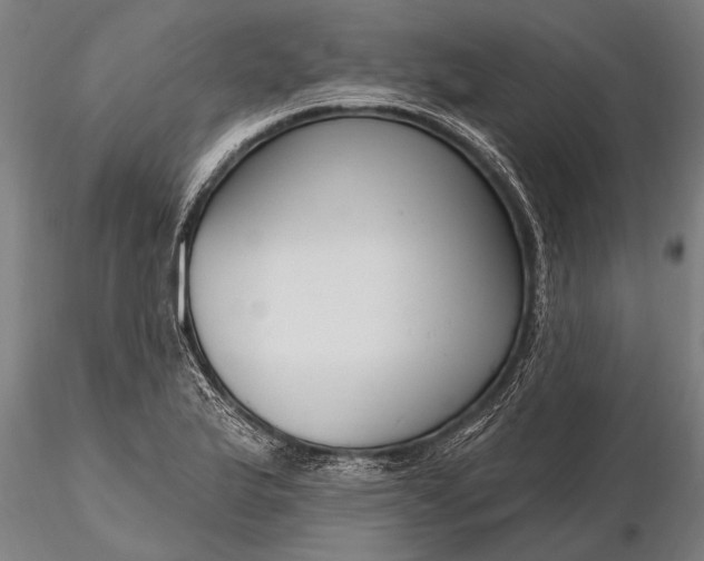 X0000116161175200912141214