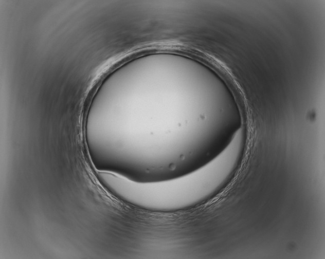 X0000116161176200912141214