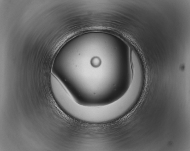 X0000116161177200912141214