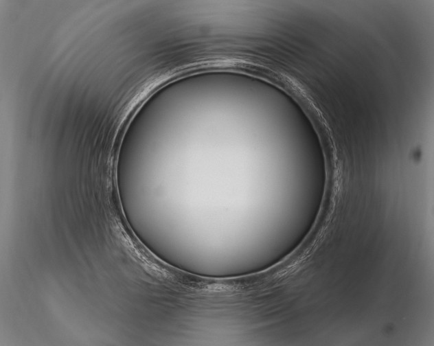 X0000116161178200912141214