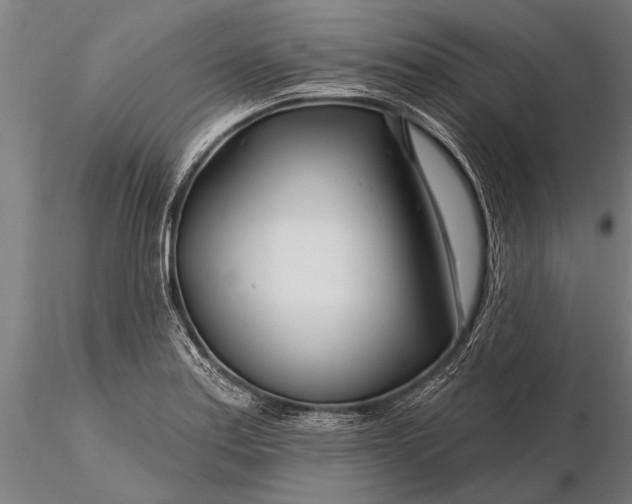 X0000116161179200912141214