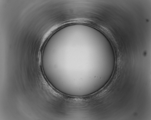 X0000116161180200912141214