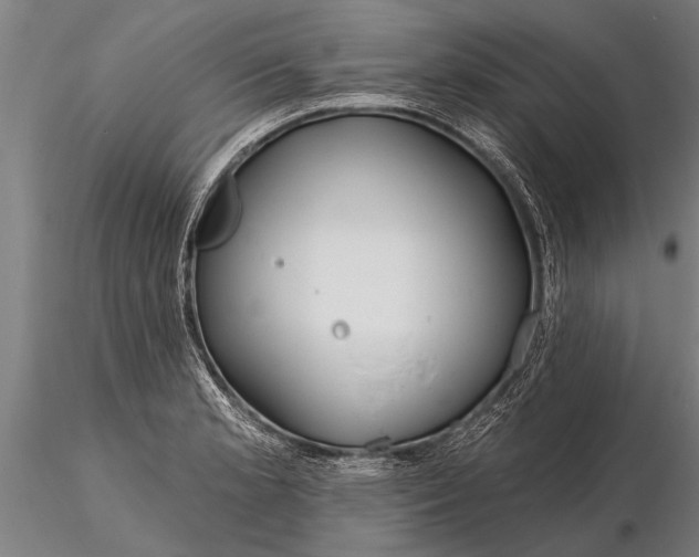 X0000116161181200912141214