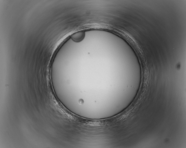 X0000116161182200912141214