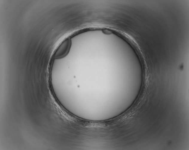 X0000116161183200912141214