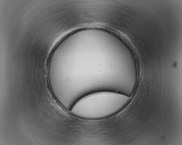 X0000116161184200912141214
