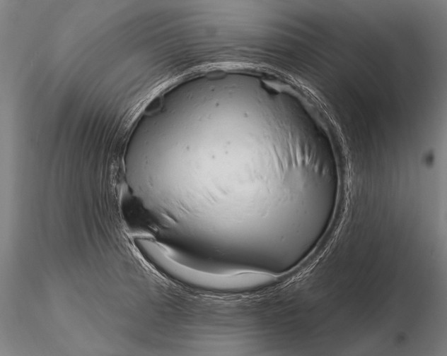 X0000116161185200912141214