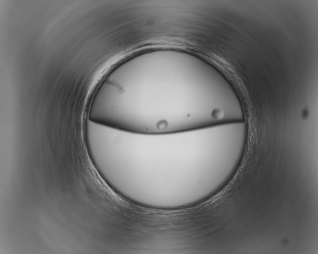 X0000116161188200912141213