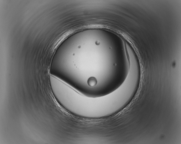 X0000116161193200912141213