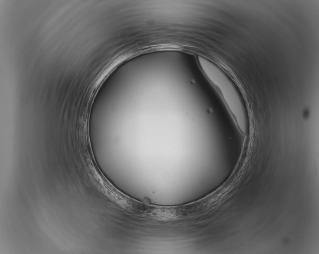 X0000116161194200912141213