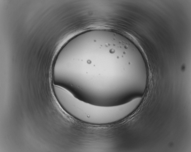 X0000116161195200912141213