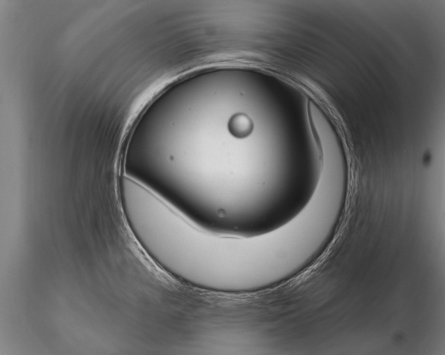 X0000116161196200912141213