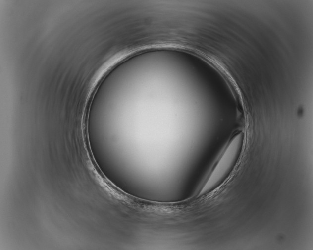 X0000116161197200912141213
