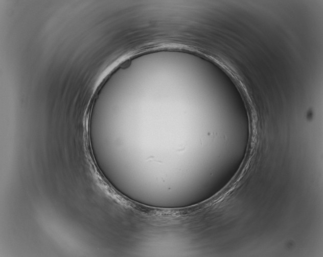 X0000116161198200912141213