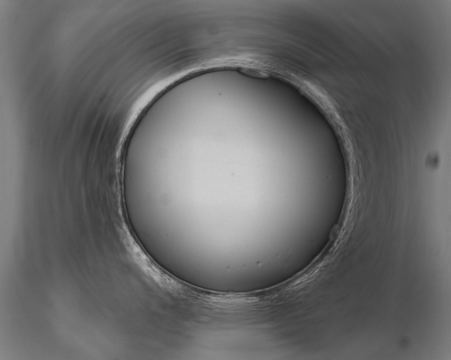X0000116161200200912141213