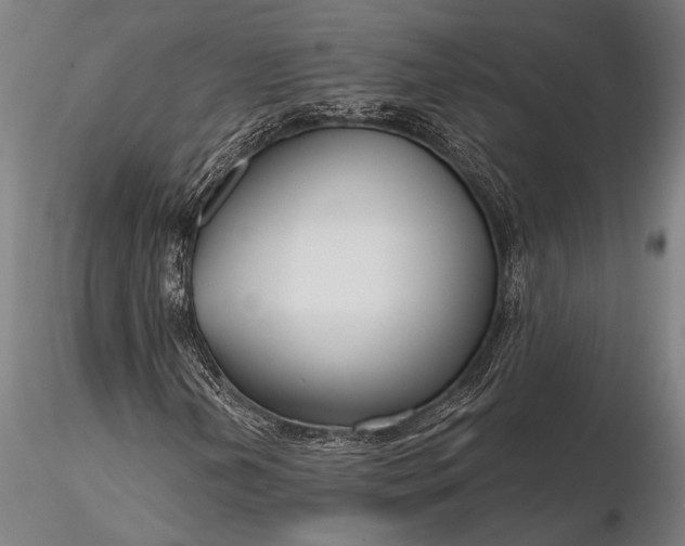 X0000116161202200912141213