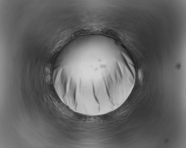 X0000116161203200912141213