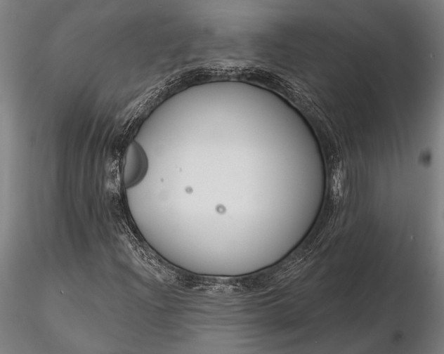 X0000116161204200912141213