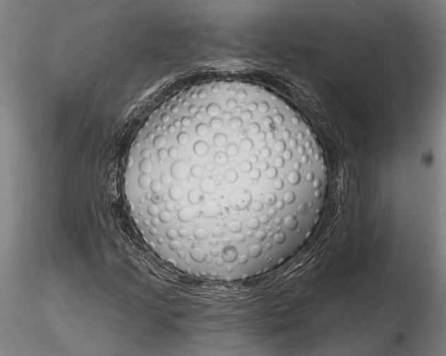 X0000116161205200912141213