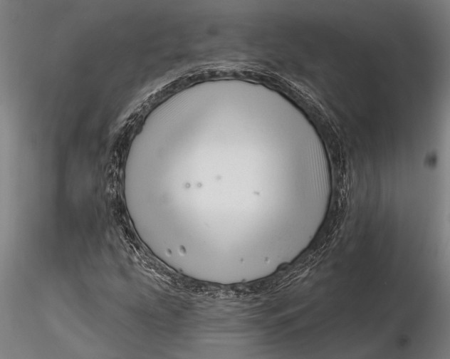 X0000116161207200912141213