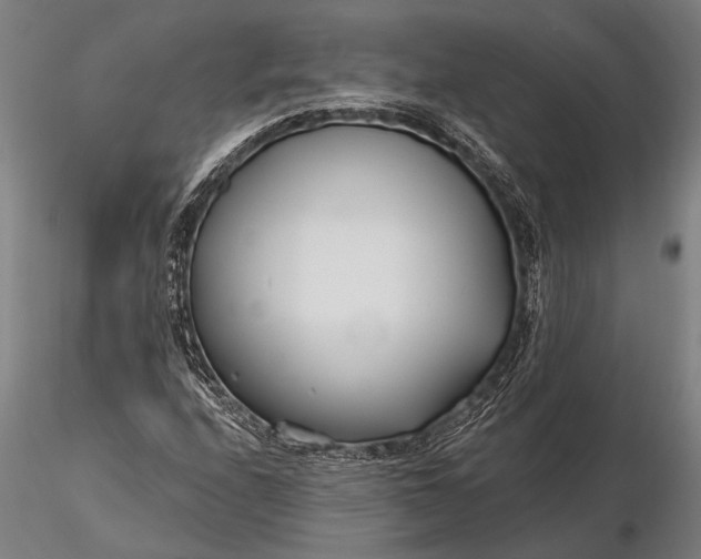 X0000116161208200912141213