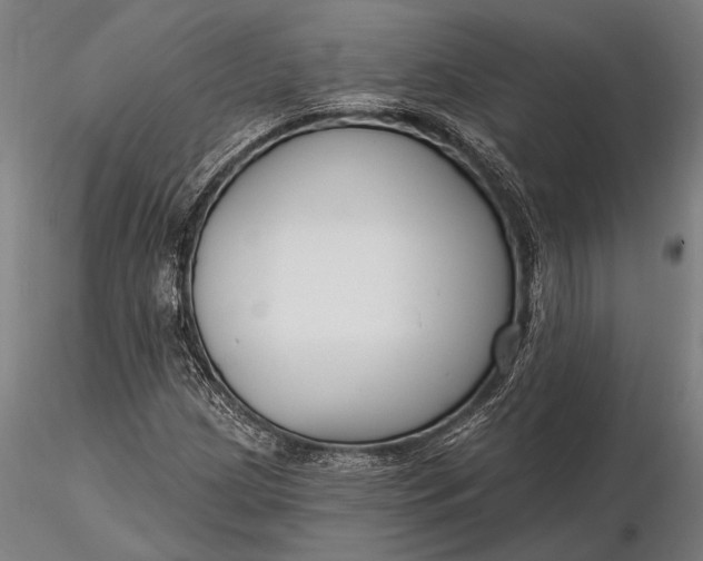 X0000116161209200912141213