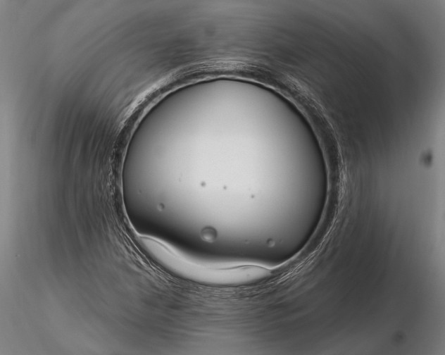 X0000116161210200912141213