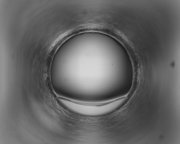 X0000116161213200912141213