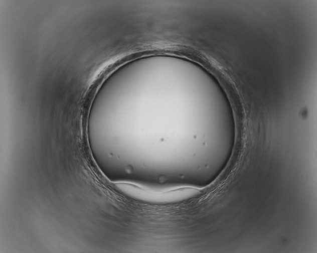 X0000116161214200912141213