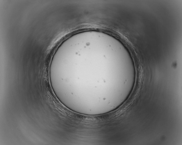 X0000116161215200912141213