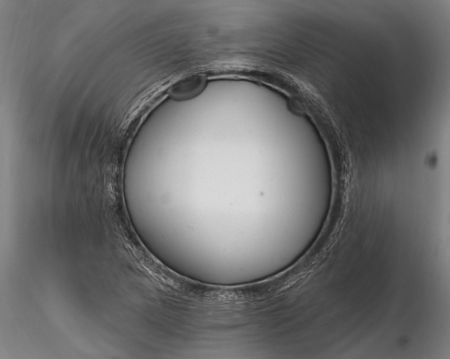 X0000116161217200912141213