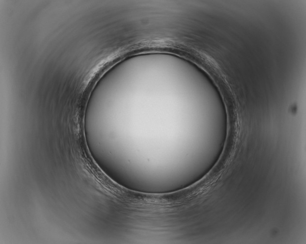 X0000116161218200912141213