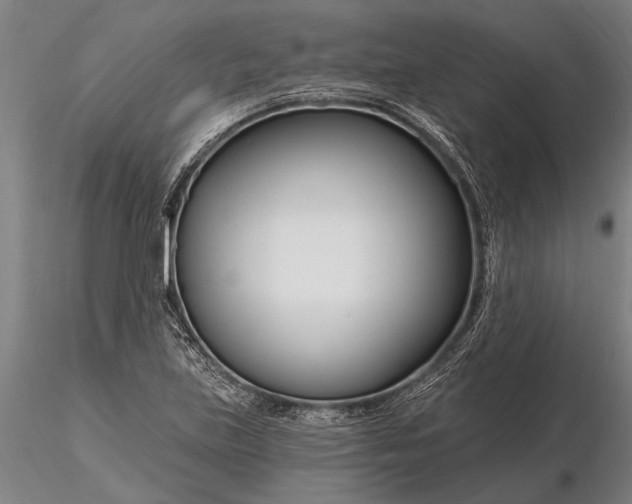 X0000116161219200912141213