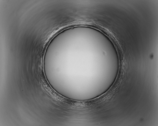X0000116161220200912141213