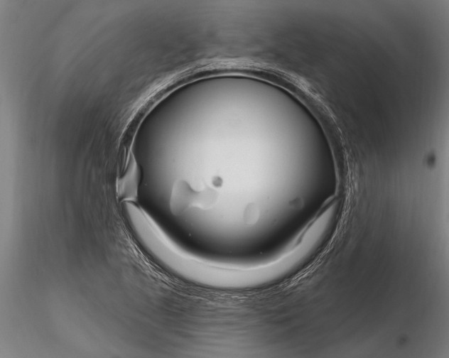 X0000116161221200912141213