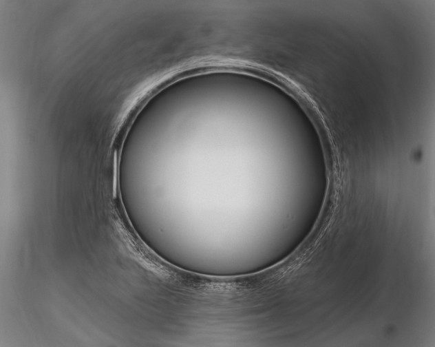 X0000116161223200912141213